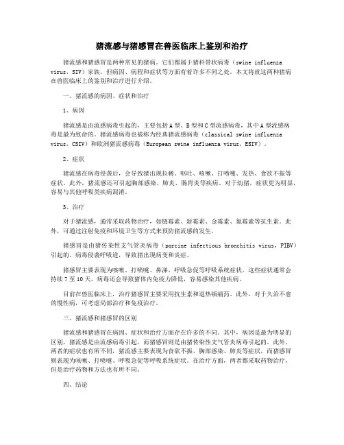 猪流感与猪感冒在兽医临床上鉴别和治疗