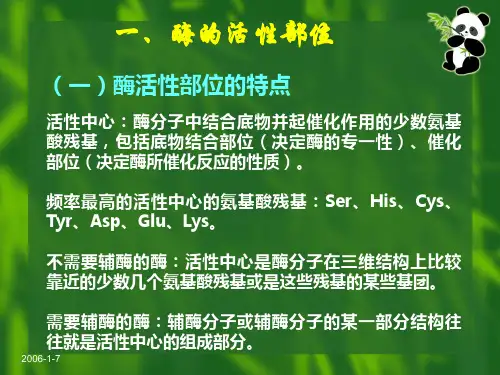 生物化学__酶的作用机制和酶的调节