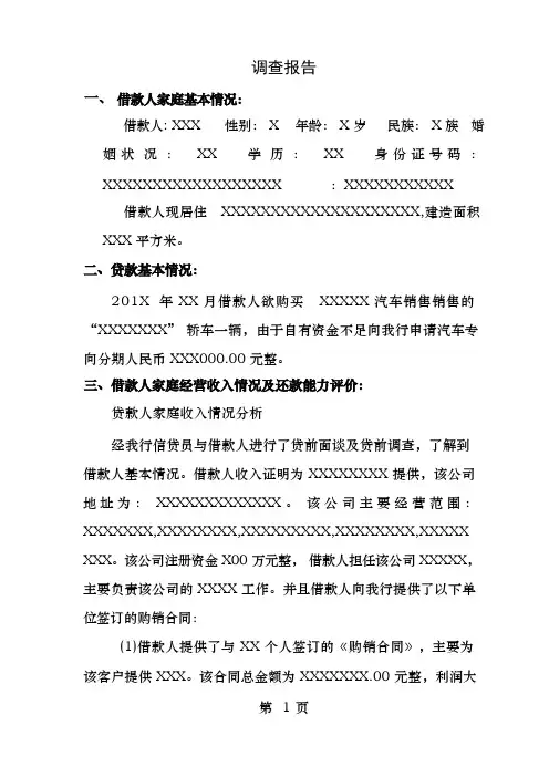 车贷调查报告模板