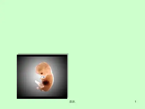 全版胚胎发育过程.ppt