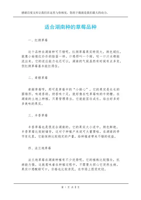 适合湖南种的草莓品种