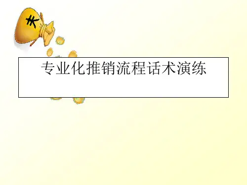 专业化推销流程话术演练