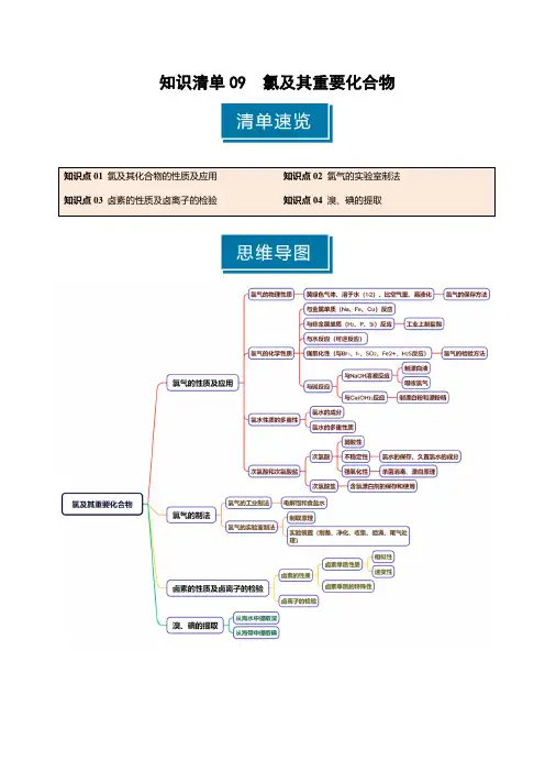 知识清单09 氯及其重要化合物-2025年高考化学一轮复习知识清单(新高考专用)(解析版)