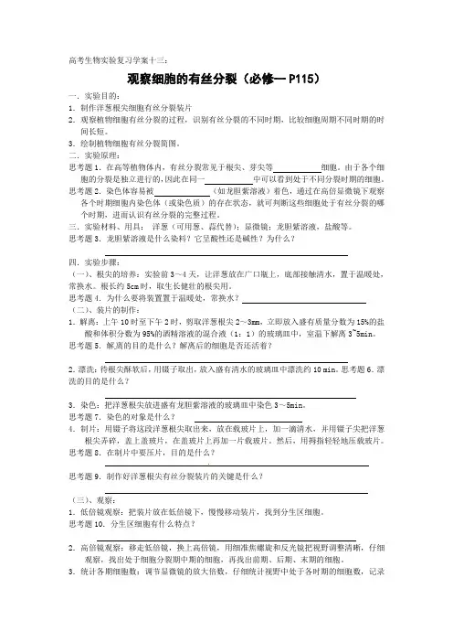 高考生物实验复习学案13：观察细胞的有丝分裂