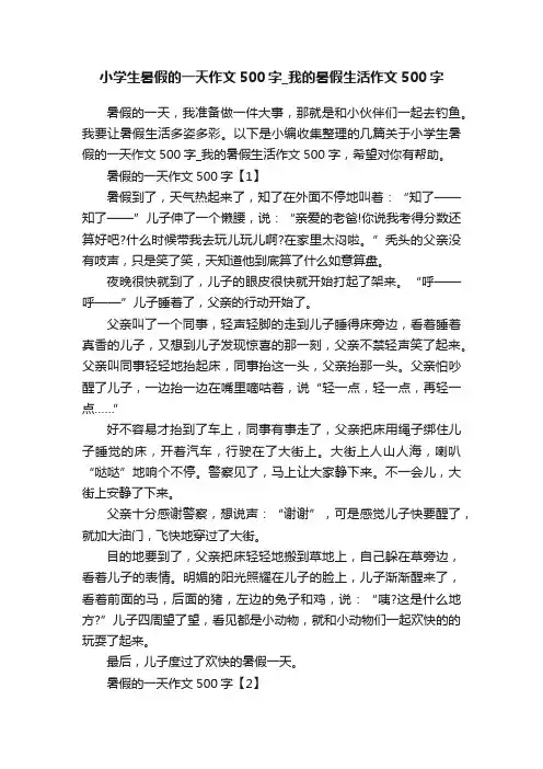 小学生暑假的一天作文500字_我的暑假生活作文500字
