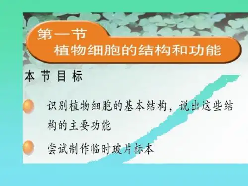 生物：3.1《植物细胞的结构和功能》课件(苏教版七年级上)