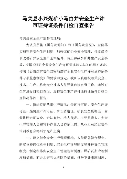 安全生产许可证持证条件自检自查报告