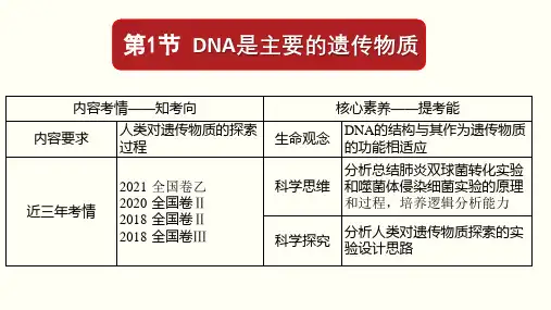 高三生物一轮复习课件基因的本质