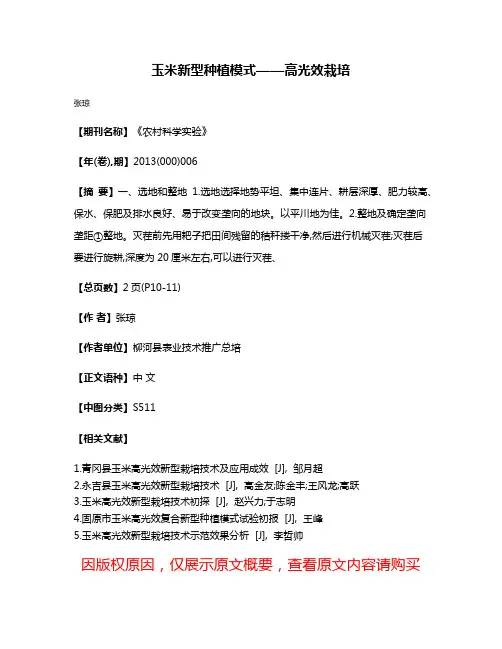 玉米新型种植模式——高光效栽培