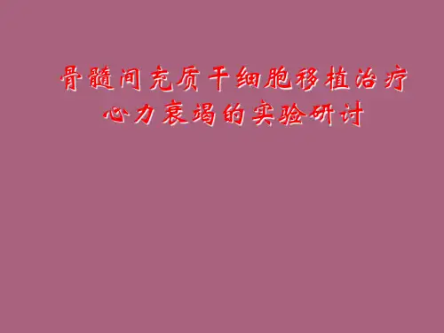 【医学】骨髓间充质干细胞移植治疗心力衰竭的实验研究ppt课件