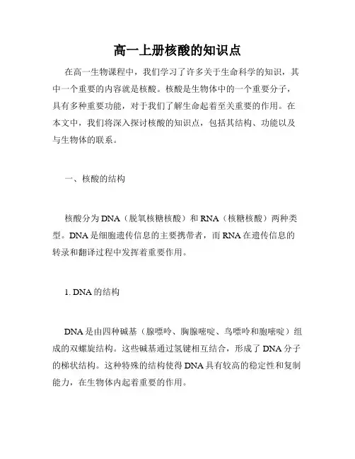 高一上册核酸的知识点