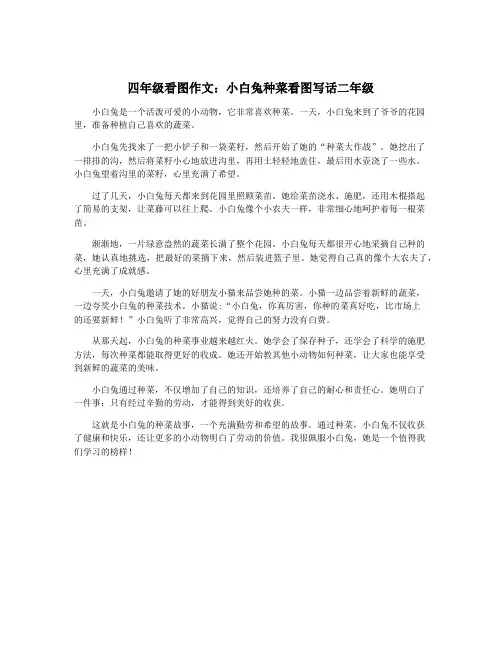 四年级看图作文：小白兔种菜看图写话二年级