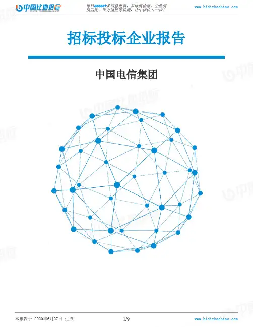 中国电信集团-招投标数据分析报告