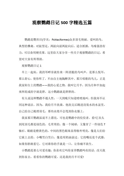 (日记)观察鹦鹉日记500字精选五篇