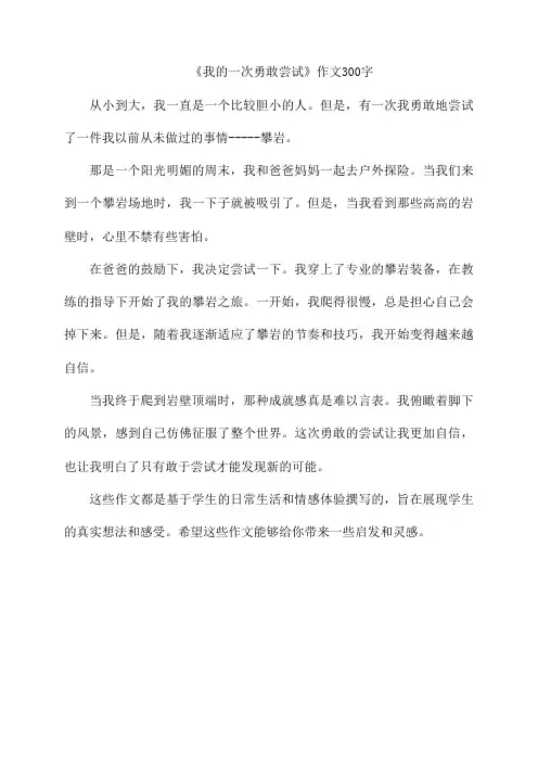 《我的一次勇敢尝试》作文300字