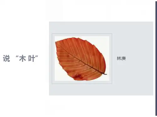 《说木叶》最新课件