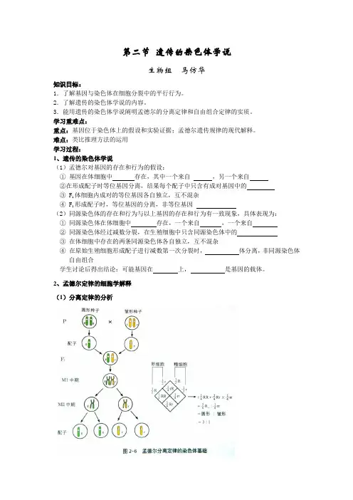 浙科版必修2第二节《遗传的染色体学说》word教案
