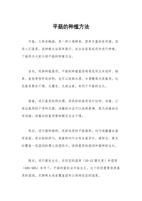 平菇的种植方法