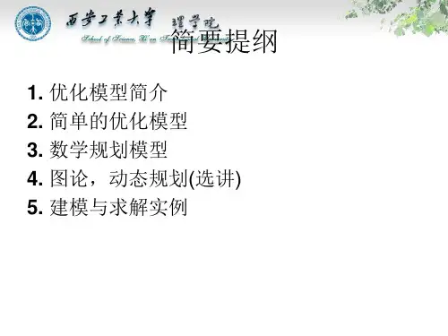 数学建模中的优化模型