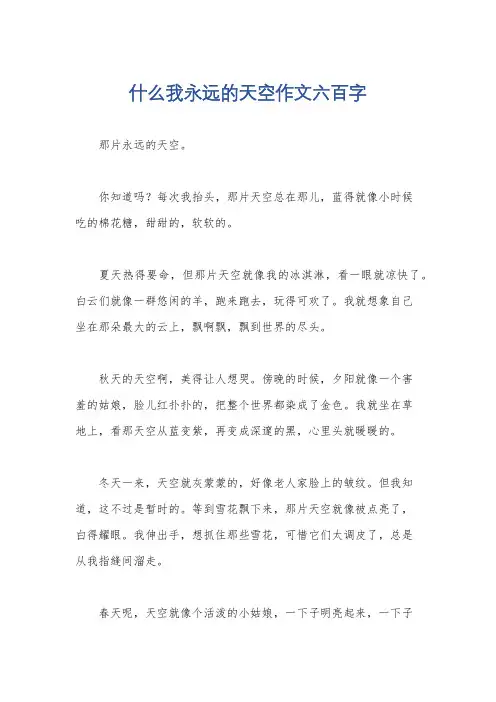 什么我永远的天空作文六百字