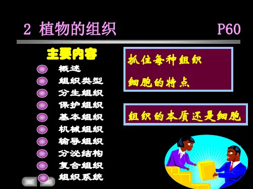 华中农业大学植物学