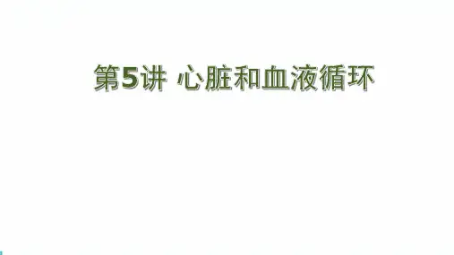中考生物心脏和血液循环知识点考点课件
