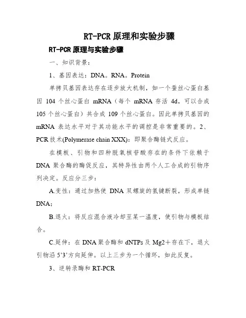 RT-PCR原理和实验步骤