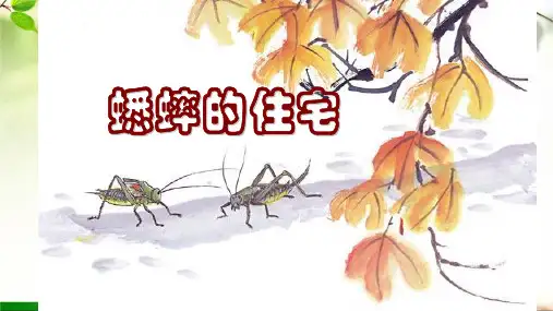 部编版语文四年级上册11《蟋蟀的住宅》课件(共23张PPT)(1)