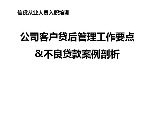 公司客户贷后管理工作要点及不良贷款案例剖析