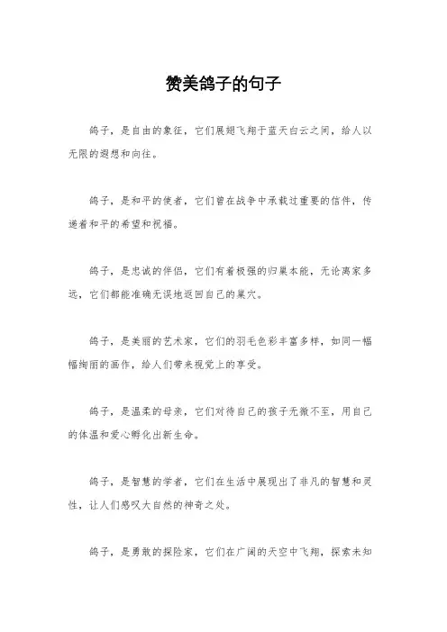 赞美鸽子的句子
