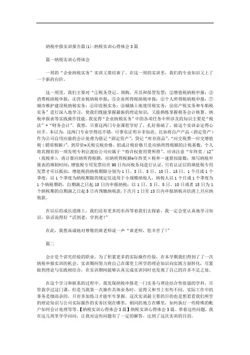 纳税申报实训报告