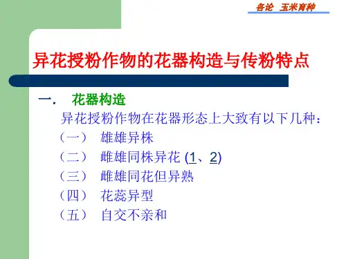 玉米育种玉米育种-PPT课件