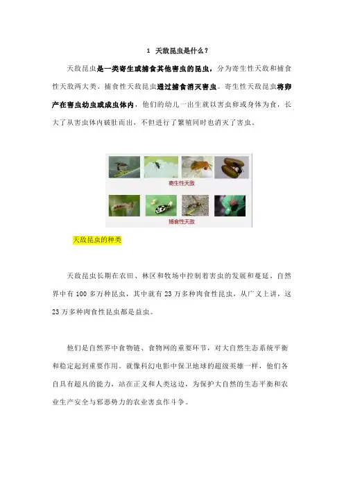 大自然的超级英雄——天敌昆虫!