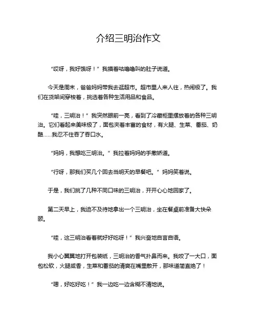 介绍三明治作文