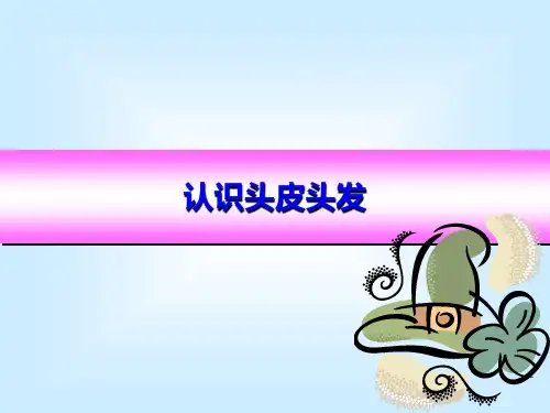 认识头皮头发ppt