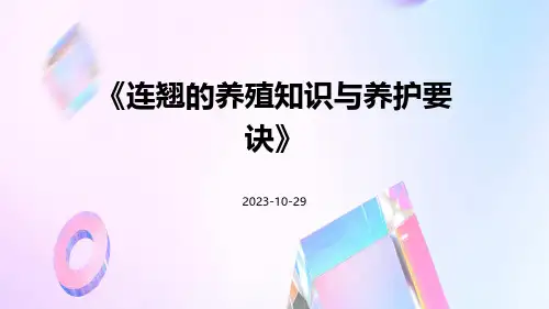 连翘的养殖知识与养护要诀