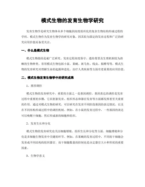 模式生物的发育生物学研究