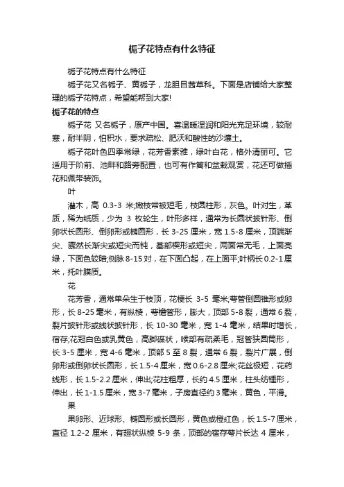 栀子花特点有什么特征