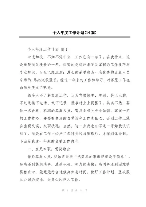个人年度工作计划(14篇)