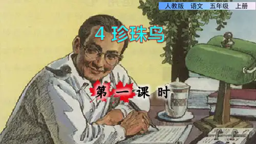 部编版五年级语文上册第一单元第4课《珍珠鸟》教学课件