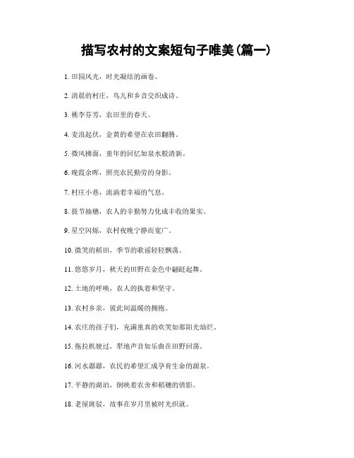 描写农村的文案短句子唯美(精选2篇)