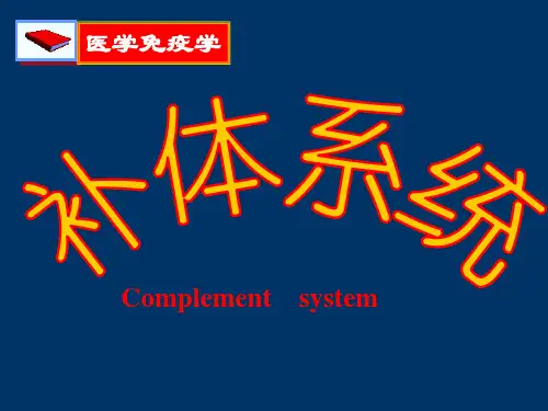 补体ppt课件