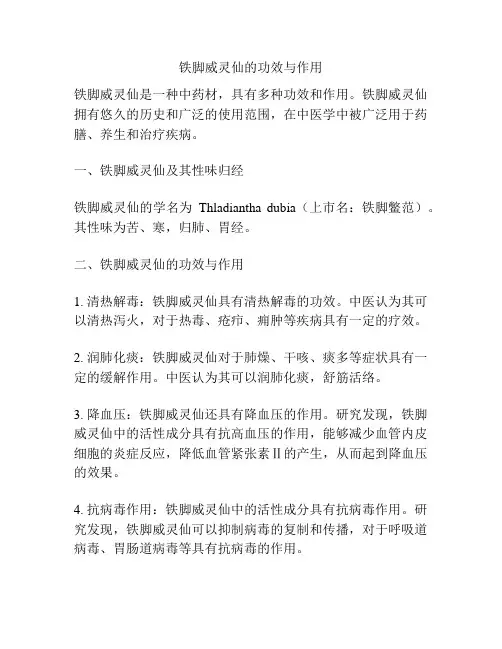 铁脚威灵仙的功效与作用