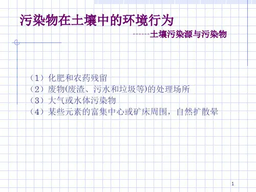 污染物在土壤中的环境行为.pptx