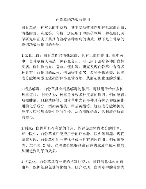 白骨草的功效与作用