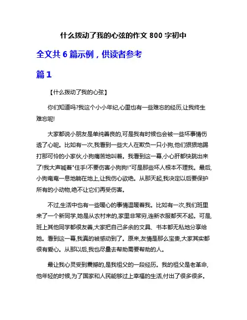 什么拨动了我的心弦的作文800字初中