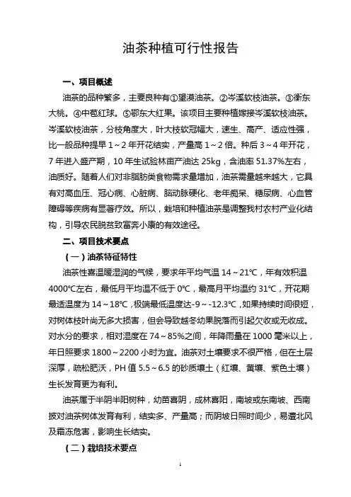 油茶种植可行性报告