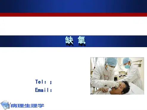 四种类型缺氧ppt课件