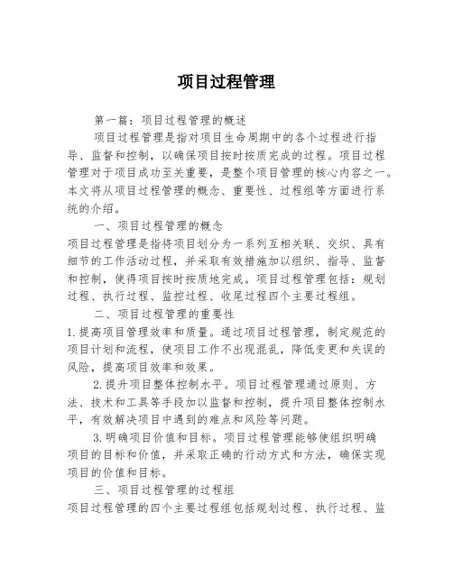 项目过程管理