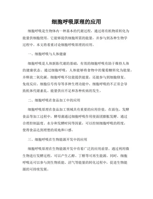 细胞呼吸原理的应用